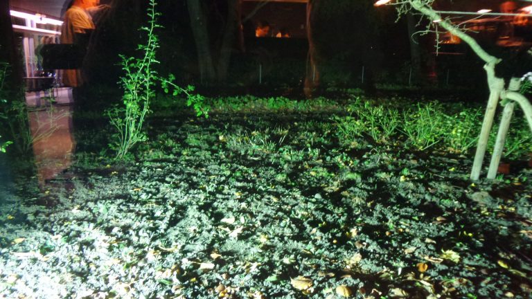 Garten der Akademie der Künste im Hanseatenweg im Hansaviertel bei Nacht.