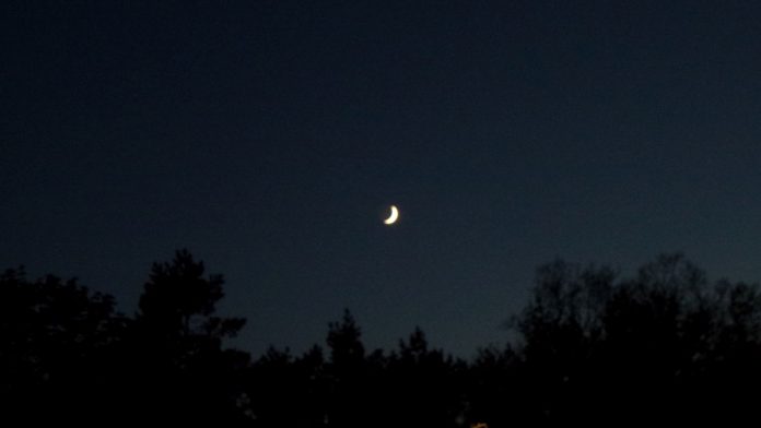 Zunehmender Mond über Baumreihe im Dunkeln.