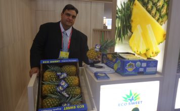 Oh, wie süß! Auf Obst können sich alle einigen bei der Fruit logistica Ein Stand auf der Fruit logistica.
