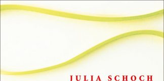 Die Erfinderin der Vergangenheit – Zu Julia Schochs großartigem neuen Roman „Schöne Seelen und Komplizen“ Julia Schoch: Schöne Seelen und Komplizen.