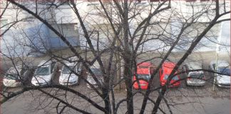 Autos sollen nach Farben sortiert werden. „Unser Dorf wird schöner“ in Berlin In einer Straße in Berlin parken Autos nach Farben sortiert.