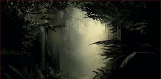 Sehen mit den Augen eines Greifvogels. VR-Installation „Inside Tumucumaque“ zeigt Kaiman- und Frosch-Perspektive Bild aus der VR-Installation Inside Tumucumaque "Waldlichtung im brasilianischen Regenwald"