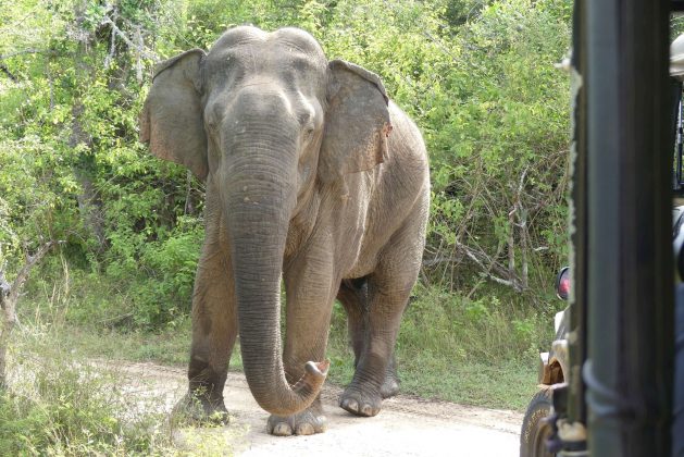 Sri Lanka