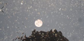 Deutschland umsonst. Lesung „Mit Pfand durchs Land“ mit S. Zingler und Bianka Miltz Das Geld liegt auf der Straße. 2-Cent-Münze liegt auf dem Berliner Asphalt vor dem Patentamt.