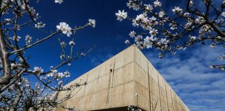 Das Museu do Côa – Da steht ein Klotz aus Beton hoch am Abhang über Côa und Douro Museu do Côa