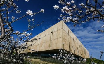 Das Museu do Côa – Da steht ein Klotz aus Beton hoch am Abhang über Côa und Douro Museu do Côa