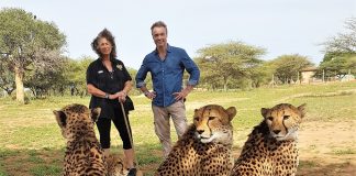 Hannes Jaenicke ist wieder „Im Einsatz“, dieses Mal „für Geparden“ Hannes Jaenicke "Im Einsatz für Geparden".