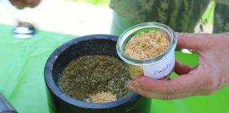 Gewürzsalz selbst gemacht in den Westfälischen Salzwelten in Bad Sassendorf Gewürzsalz selber machen.