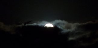 Daumenkino: Fotoreportage zu Vollmond – Ernte- oder Blutmond? 3 Minuten am Wolkenrand