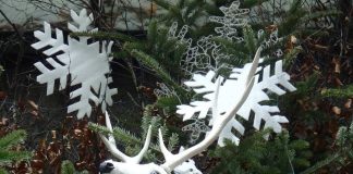 Fotoreportage: „Stille Nacht“ – Weihnachtliche Spurensuche im Salzburger Land