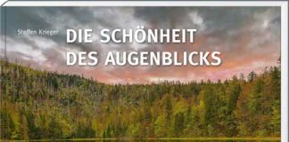 „Unberührte Waldwildnis oder Urwald für alle – Zum Buch „Die Schönheit des Augenblicks, Natur im Nationalpark Bayerischer Wald“ von Steffen Krieger