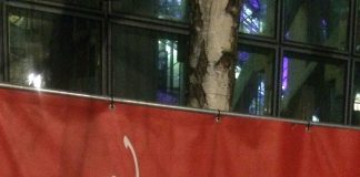 Virusbewusstsein. Auf Berlinale, Messen und Flughäfen geht es um Hygiene und Einreiseberichte