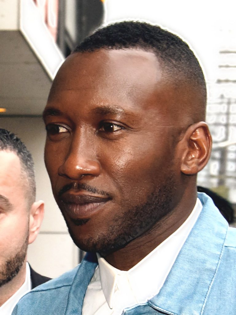 Mahershala Ali, der in Green Book an 2. Stelle mitspielt. "Green Book - Eine besondere Freundschaft" zeigt filmische Parallelen zu "Ziemlich beste Freunde" mit Omar SY, einem Kassenschlager.