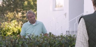 Wenn der Haussegen schief hängt – Islandian Beauty oder die tödlichen Abgründe einer isländischen Vorstadt im Film „Under The Tree“