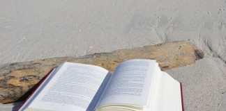 „Buch und Baum“ – Die zweite Rügener Buchmesse steht bevor