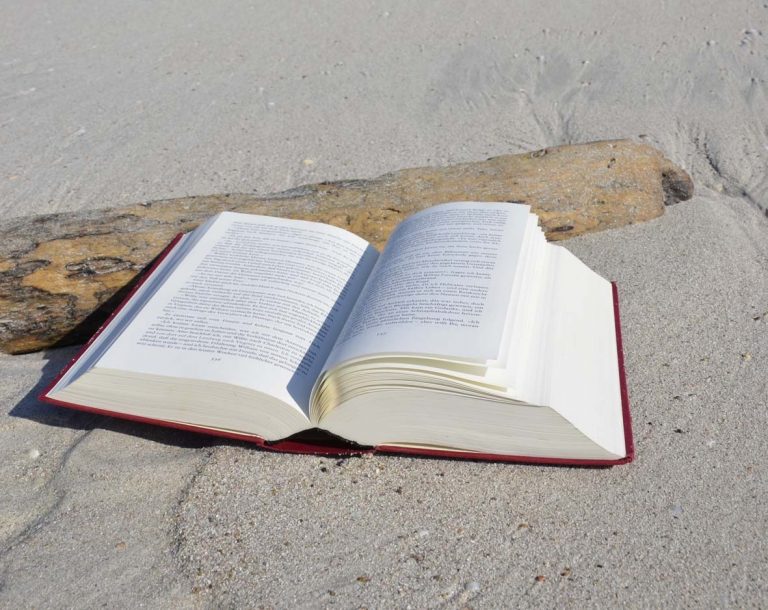 „Buch und Baum“ – Die zweite Rügener Buchmesse steht bevor