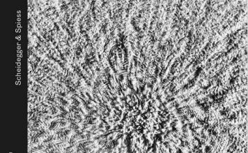 Wuff oder die Ästhetik und die Möglichkeiten der Fotografie – Eine Anmerkung zu den drei Fotoessays des Fotografen Andreas Greber im dem Buch „Im Schatten der Fotografie“ aus dem Verlag Scheidegger & Spiess