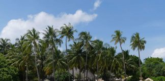 Die Malediven: 26 Atolle, mehr als 1.000 Koralleninseln