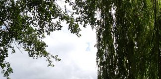 Der Aufstieg Tegels – 8. Tegeler Geschichtssonntage 26. Mai, 2. Juni