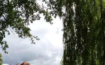 Auf der Suche nach der „Blauen Blume“ – Auf Ostsee, Oder und Havel – Flussgenuss mit kulturellem Tiefgang