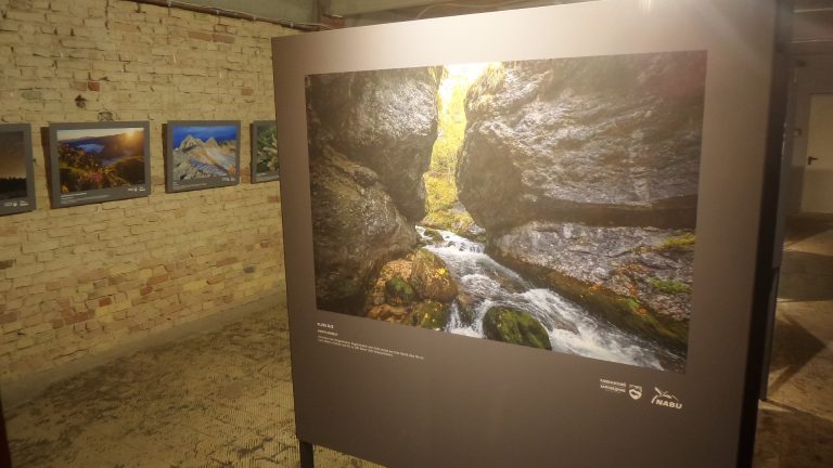 PlanetArt gestARTet – auf einer Handvoll Etagen Kunst und Naturschutz