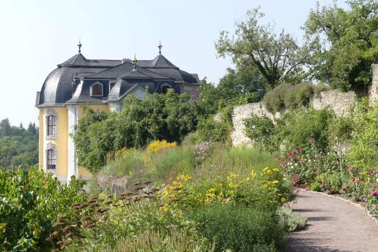 Fotoreportage: Dornburger Schlösser über der Saale