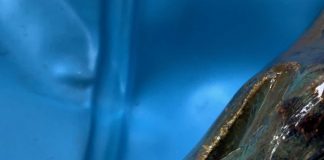 Dominika Bednarsky: „Snap Competition“ in der Scheune der Opelvillen Rüsselsheim