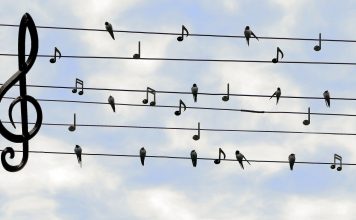 Poppen und jazzen im Garten oder: Vögeln und Noten … ganz entspannt zur Musik von Udi Shlomo