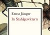 Tagebuchaufzeichnungen als Taschenbuch – Annotation zu „In Stahlgewittern“ von Ernst Jünger
