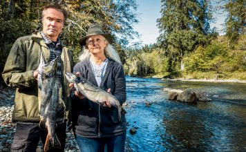 Heute? Lachs! – Hannes Jaenicke war fürs ZDF unterwegs, bleiben Sie sitzen und gucken sie dessen Tierdokumentation bei einem Teller Lachstatar