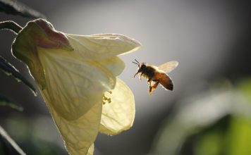 Sex ohne Jazz im JMB