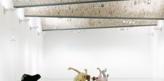 „Denken wie eine Katze“ zum Weltkatzentag – Miau oder „Performances for Pets“ nicht entgehen lassen!