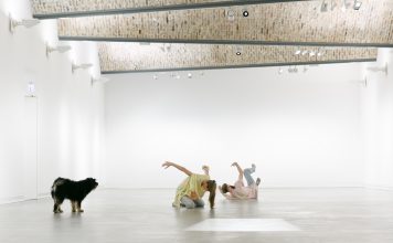 „Denken wie eine Katze“ zum Weltkatzentag – Miau oder „Performances for Pets“ nicht entgehen lassen!