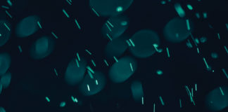 „Es ist im Grunde nicht nötig, neben mir noch andere Autoren zu lesen“ – Herr Kraussers mopsfidele Lyrik – Annotation zu „Glutnester“ von Helmut Krausser