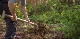 Blabla, „Spannungsfeld zwischen ‚Simplify‘-Lebensformen sowie anderen nachhaltigen Leitbildern“, bla, bla, bla – Sprachverhunzung und Vollverarschung von und mit „tinyBe“