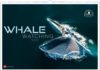 „Whale Watching 2022“ – Ein großer Wandkalender mit einer kleinen Spende für die Sea Shepherd Conservation Society