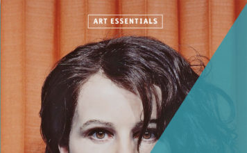 110 Illustrationen in einem sexy Fotoführer von den Anfängen der „Fotografie“ bis heute von David Bate für arme Anfänger