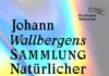 Gedörrte Kröten auf Pestbeulen gelegt – Annotation zu „Johann Wallbergens Sammlung natürlicher Zauberkünste“