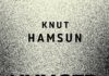 Hamsuns „Hunger“ neu übersetzt – Annotation zur Neuübersetzung nach der Erstausgabe von 1890