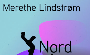 Schutt, Schusssalven, Schönheit – Annotation zum Roman „Nord“ von Merethe Lindström