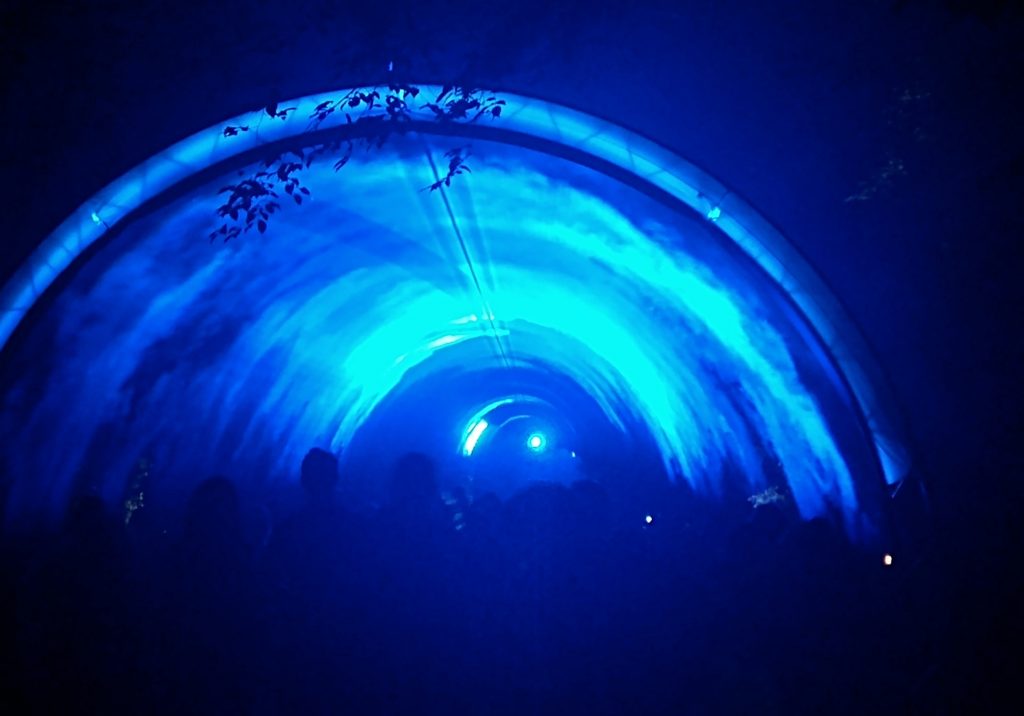 Potsdamer Schlössernacht 2023 im Park Sanssouci: Durch Laserlicht und Trockeneis erzeugte Illusion eines sogenannten Lasertunnels.