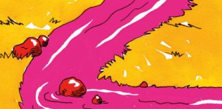 Liebe und Anarchie – Annotation zum „Minihorror“ von Barbi Markovic Äußeres des Buchs von Barbi Markovic mit dem Titel Minihorror aus dem Residenz-Verlag Wien in Österreich.