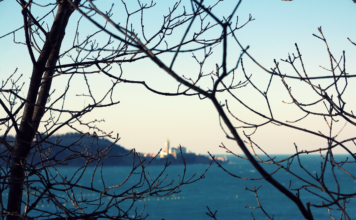 Vermischte, vielschichtige Welt – Eine winterliche Reise an die slowenische Adria
