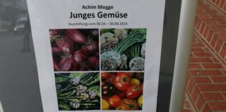 Junges Gemüse am Mierendorffplatz. Bilder von Achim Mogge Bilder - Ausstellung JUNGES GEMÜSE von Achim Mogge vom 5.-30.April 2024 im HAM am Mierendorffplatz