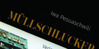 Georgischer Blues – Annotation zum Roman „Müllschlucker“ von Iwa Pesuaschwili