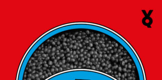 Die Tage, an denen Russia Today unterwandert wurde – Annotation zum Roman „Sputnik“ von Nikita Afanasjew