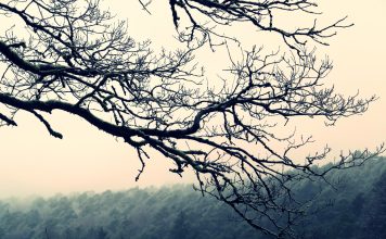 Spessart-Winter – Wellness in Bad Orb und Kunst in Aschaffenburg