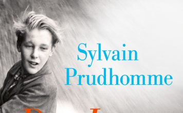 Halbierte Herkunft – „Der Junge im Taxi“ von Sylvain Prudhomme ist ein feinfühliger Roman über verleugnete Kinder