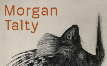 Kaputt im Res wie Reservat – Annotation zum Roman „Sein Name ist Donner“ von Morgan Talty