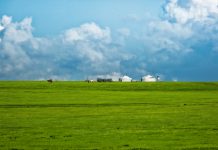 Grasland und Geschichte – Zur Ausstellung „Mongolei – Eine Reise durch die Zeit“ im Museum Rietberg